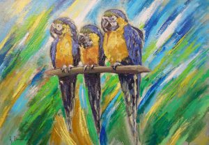 tre-pappagalli